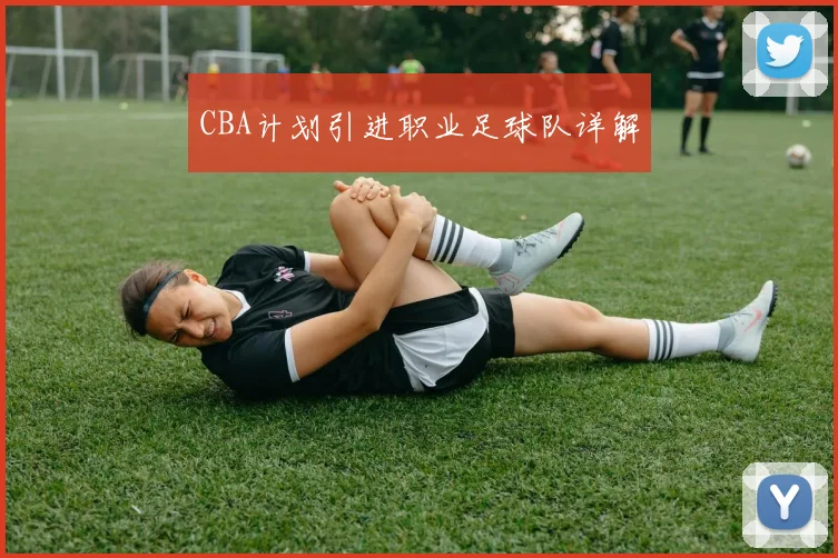 CBA计划引进职业足球队详解